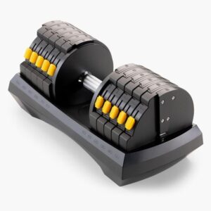 Dumbells with adjustable weights